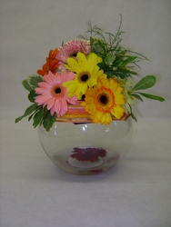 Bowl of Sunshine from Faught's Flowers & Gifts, florist in Jonesboro