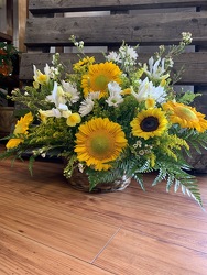 FF202 from Faught's Flowers & Gifts, florist in Jonesboro