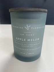 Apple Melon DW Home Candle from Faught's Flowers & Gifts, florist in Jonesboro