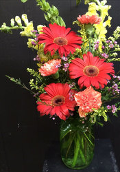 Gerbera Delight from Faught's Flowers & Gifts, florist in Jonesboro